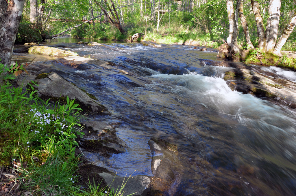 MainspringCT's tweet photo. The #NCGA budget includes historic investments in conservation funding that will benefit our state for many generations to come. Thank you @NCHouseSpeaker, @SenatorBerger, @NC_Governor, and all members who supported investing in our future! https://t.co/PtKisWzmps