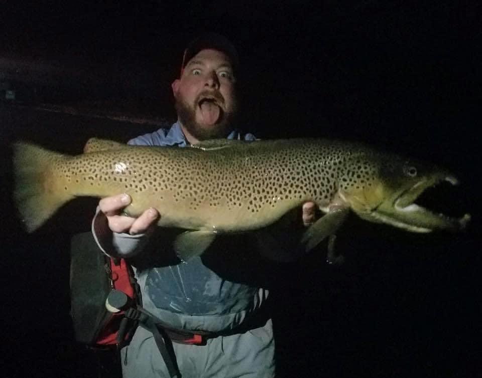 TN_VOLS_YALL's tweet photo. Hard work pays off. Goliath wild brown trout for the tailwaters of the South Holston. #flyfish #flyfishing #browntrout #mouse #mice #kype #yes #stripstrip #BetterTogether #tn #tnvacation #simms https://t.co/8xOQTuVEF5