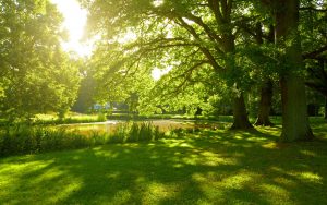 MeNutroo's tweet photo. How To Choose ...
https://t.co/UNc8iHosZE

#BackyardGardenIdeas #BackyardGardening #BestGardenSoil #BotanicalGarden #GardenLandscaping https://t.co/CzGP794JuJ