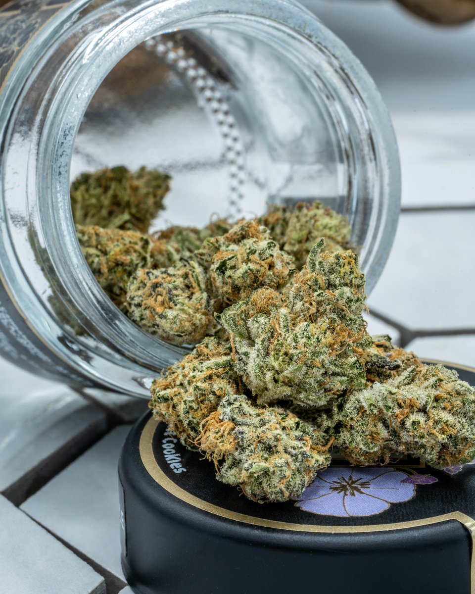 TheCornerlbc's tweet photo. Bring Animal Mints to your next smoke sesh! This strain from @cotc_gardens has a minty flavor and provides relaxing body effects. #thecornerlbc https://t.co/sk7vMyClWr