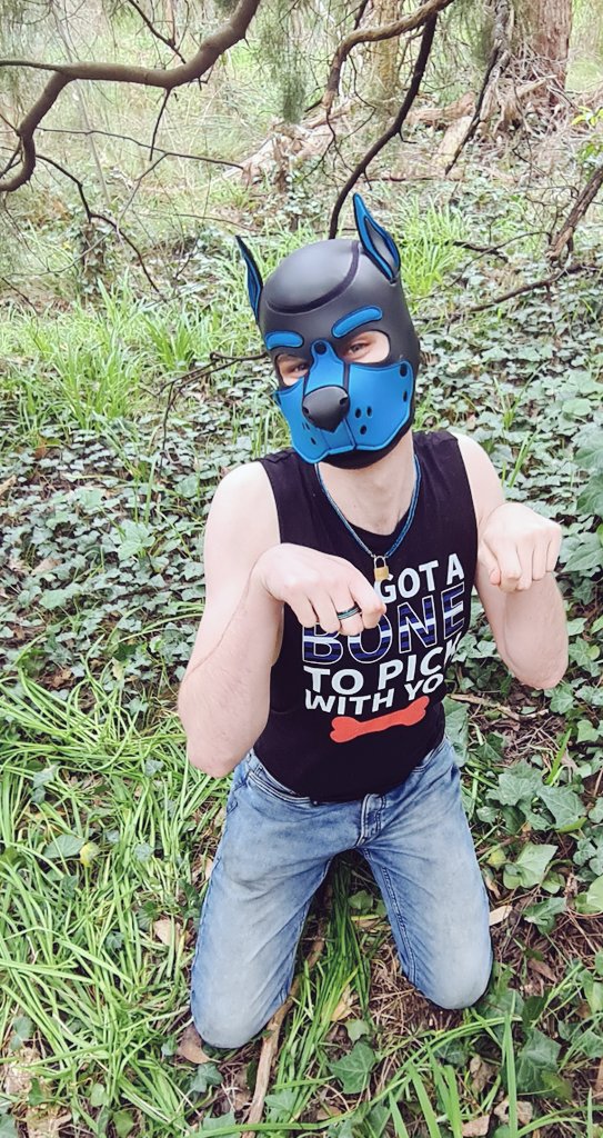PupEcho4's tweet photo. Some photos my partner took of my a few weeks ago whilst in the forest. https://t.co/zjrlagtdg6