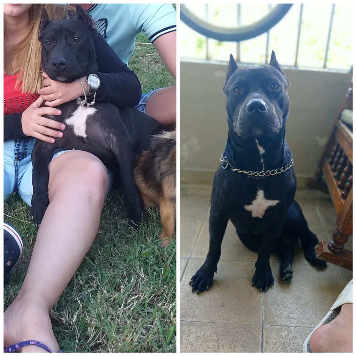 TodoLindo tweet media