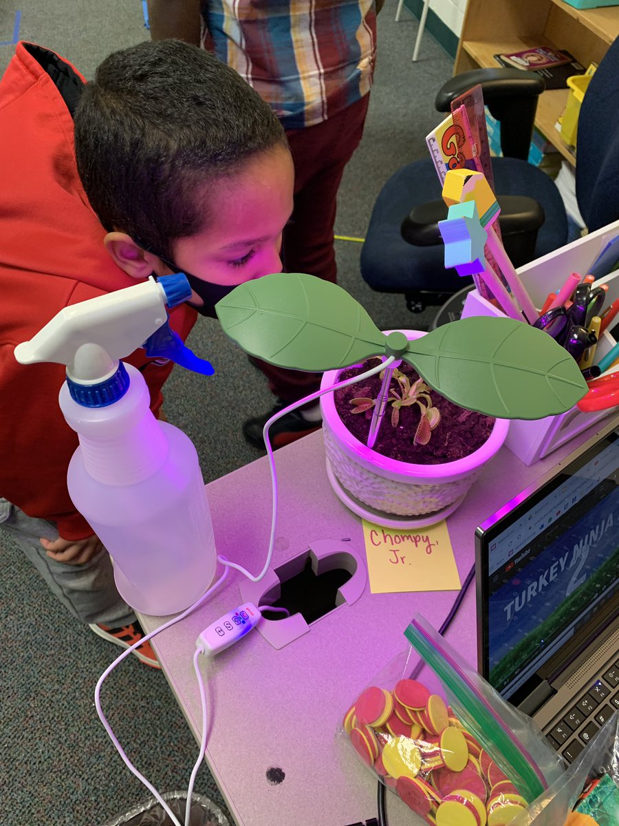acarey04's tweet photo. Meet our “class pet”, Chompy, Jr. the Venus fly trap! 😂 https://t.co/shICMibAH4
