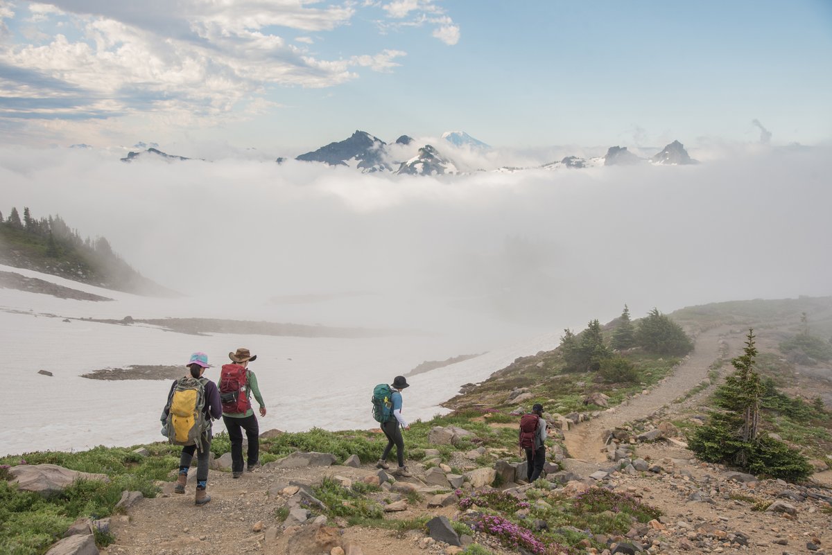 CentralWashU's tweet photo. Strap up your boots 🥾 and hit the trail, it's #NationalTakeAHikeDay! Stay in town with Manastash Ridge, or travel a little further to Mount Rainier. Where do you like to hike? Tag us in your favorite hiking picture and we'll give it a retweet!
#CWUTogether https://t.co/YX2wBf3Wmb
