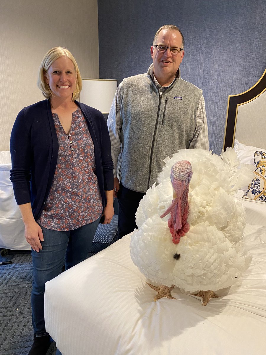 Our feathered friends have arrived at the <a href="/WillardHotel/">Willard InterContinental Washington, D.C.</a>! After the long drive from Jasper, Indiana, we expected them to just retire to their room. Not our turkeys! They did a full red carpet walk and even posed for some more shots after. Ready for the <a href="/whitehouse/">The White House</a> on Friday!