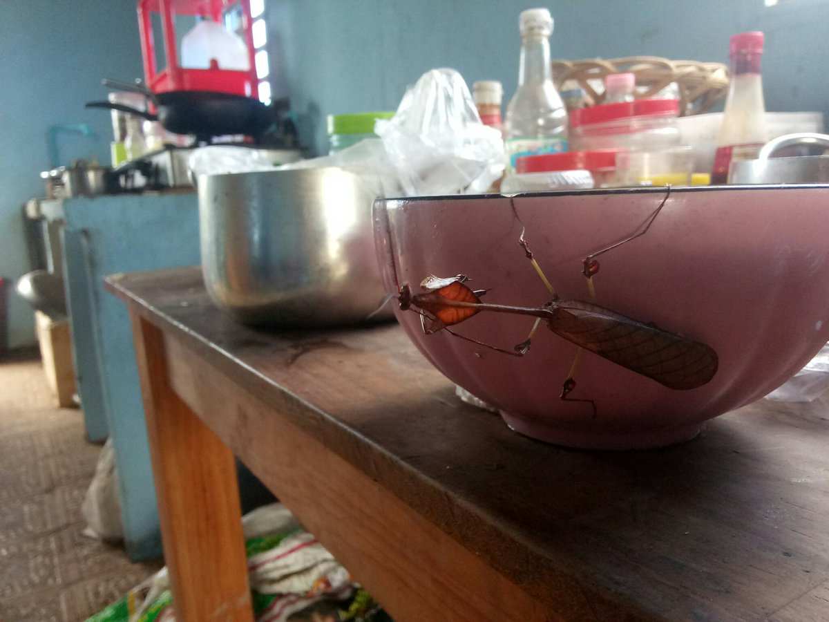 Hands off my breakfast!