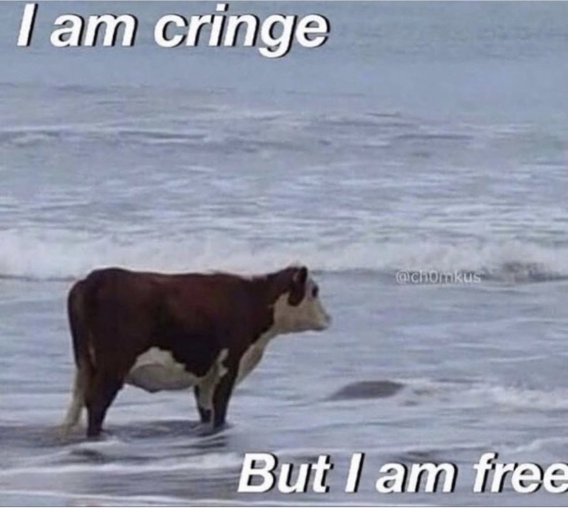 p0ke (@p0kecs) on Twitter photo 