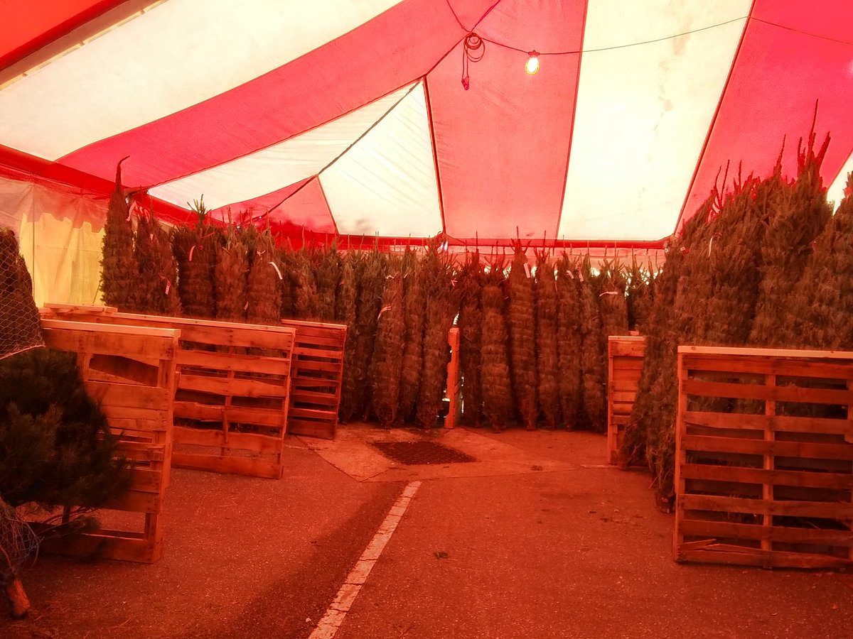 0248 Tree Team unloaded and ready. Great job team.