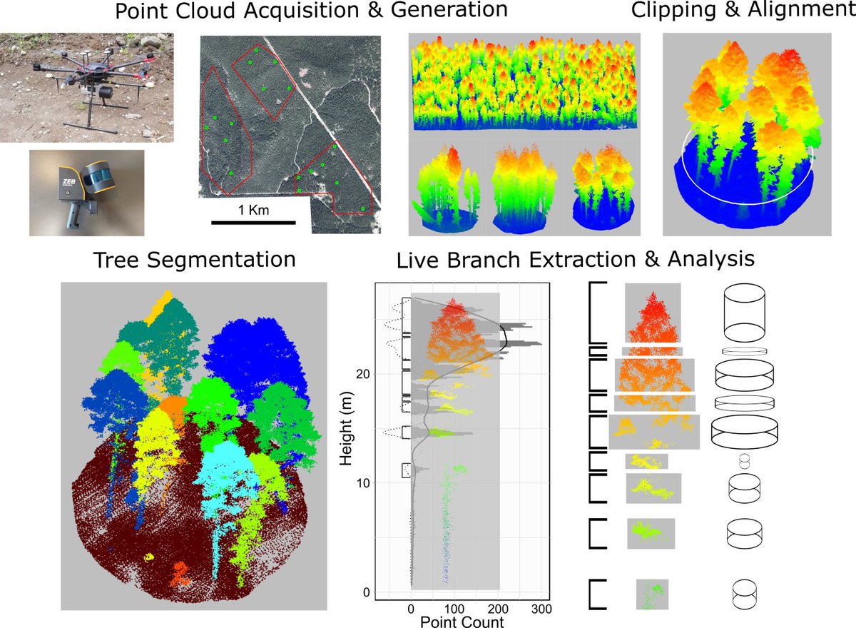 IRSS_UBC's tweet photo. 📢NEW PAPER! Estimation of Vertical Fuel Layers in Tree Crowns Using High Density #LiDAR Data
#ForestFire #Fuels #RPAS #FireBehaviour #IndividualTree #FuelLayers #WildFire
@LoriDanielsUBC @ubcforestry
📖(#OpenAccess): https://t.co/zb8saP5RDn https://t.co/LkararrCh4