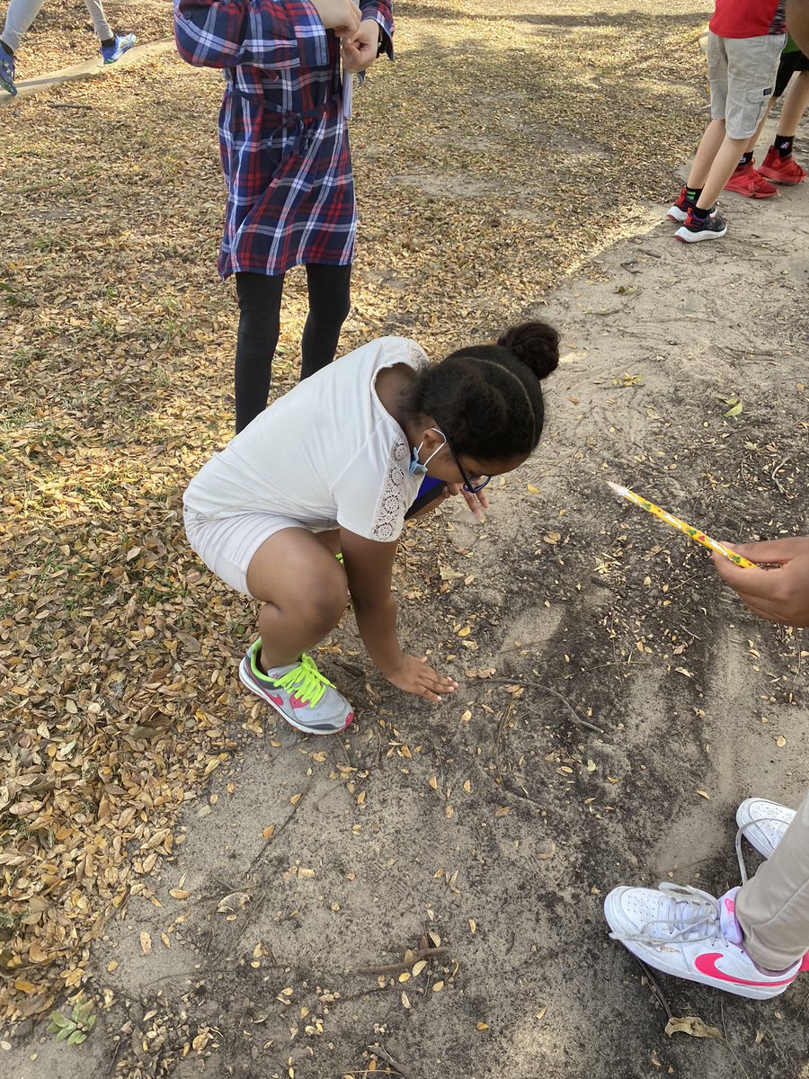 StarnesScholars's tweet photo. Scientists at work! 🧫 🔬
We loved examining, collecting, and identifying our different types of soil! 💜
@gheeagles #4thgradeROCKS #soil #outsidelab #handson https://t.co/l93gsFfnzX