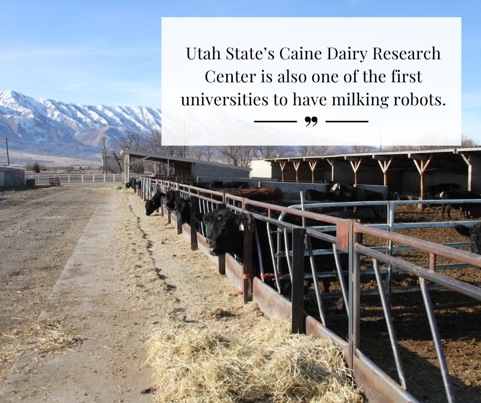 usuextension's tweet photo. Happy National Butter Day! Here are some fun facts about the dairy industry in Utah! https://t.co/748oHkBmaI