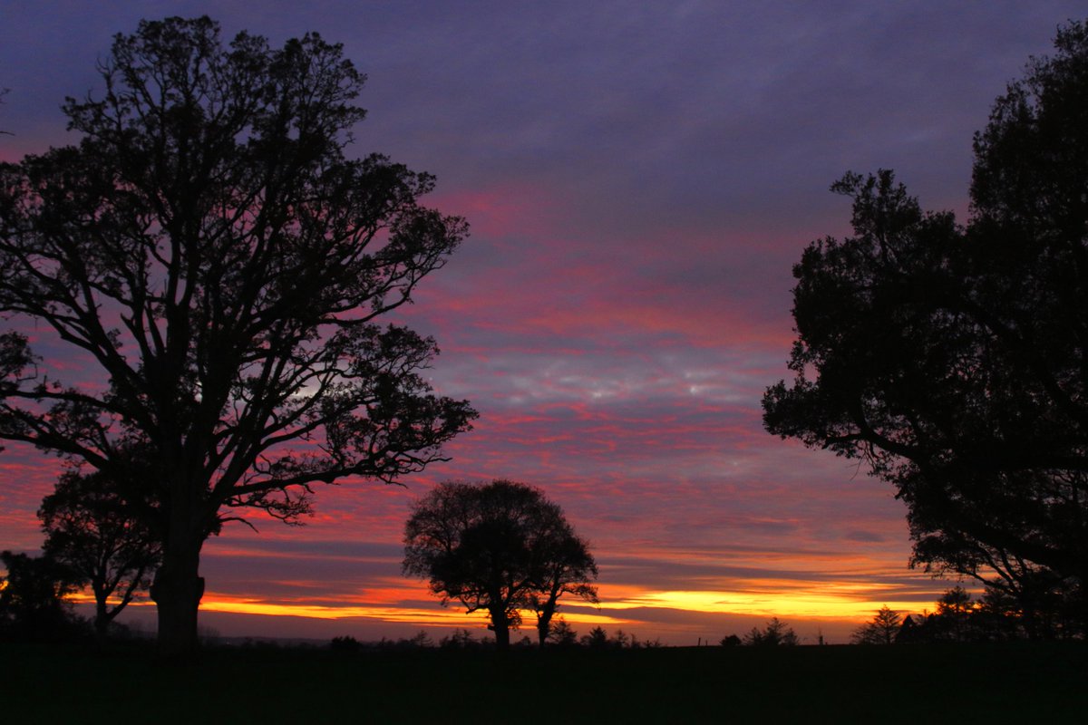 Ger McNamara tweet media