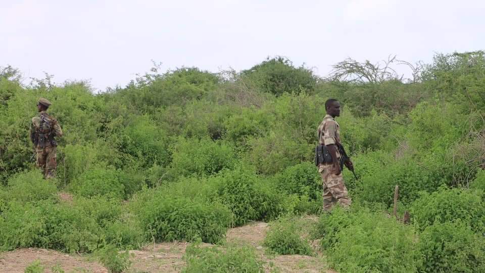 MoInfosws's tweet photo. Somali National Army liberate #Daauudow village in the vicinity of #Baidoa from the terrorist group of al-Shabab.@UNSomalia https://t.co/AcOMsSCUO9
