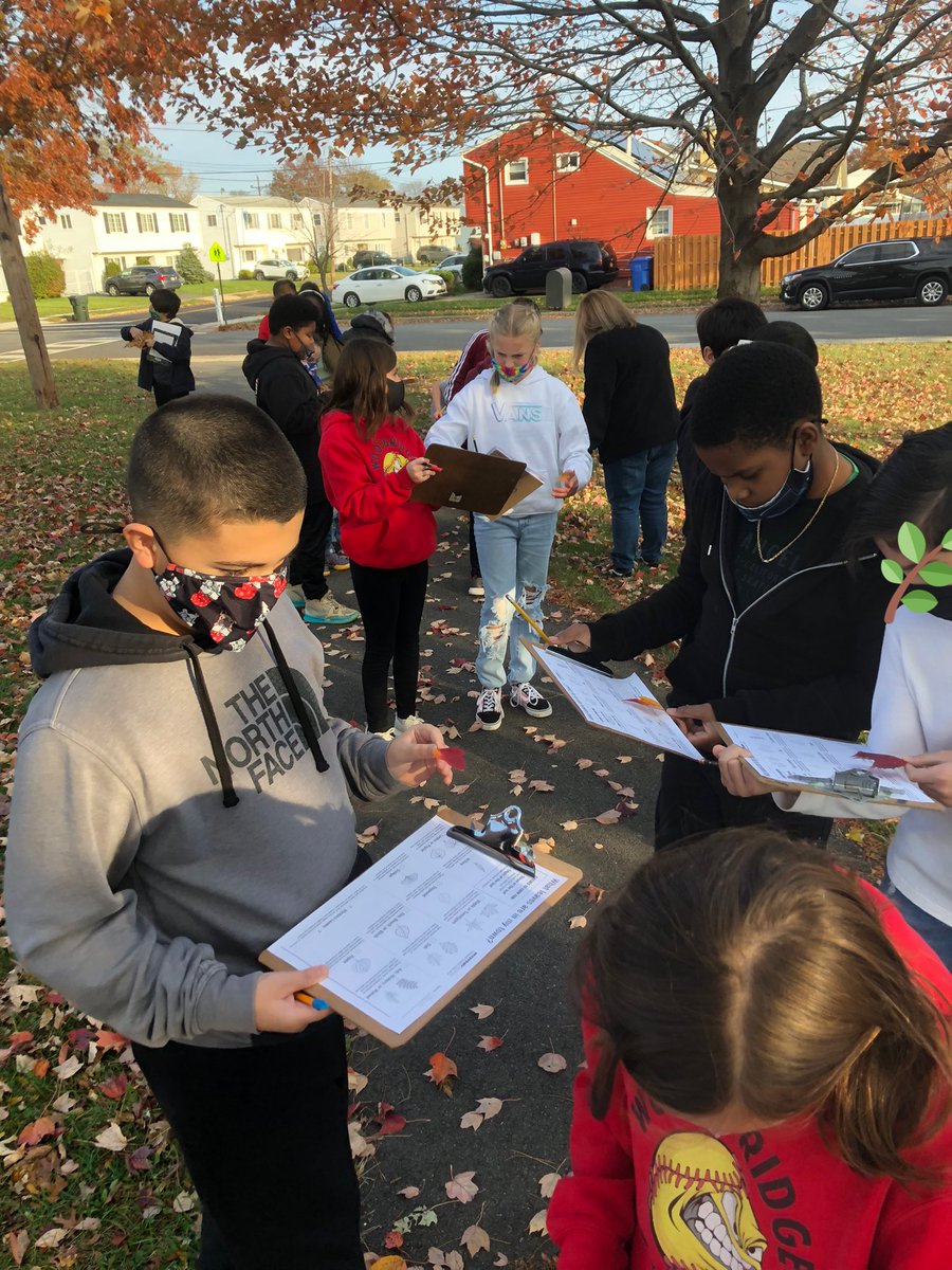 Miss_S_Thomas's tweet photo. Today we went on a hike for #NationalTakeAHikeDay and examined the leaves in our town. #9pantherpride #1wtsd @prpanthers9 @DLottmann https://t.co/zfI0STZkh4