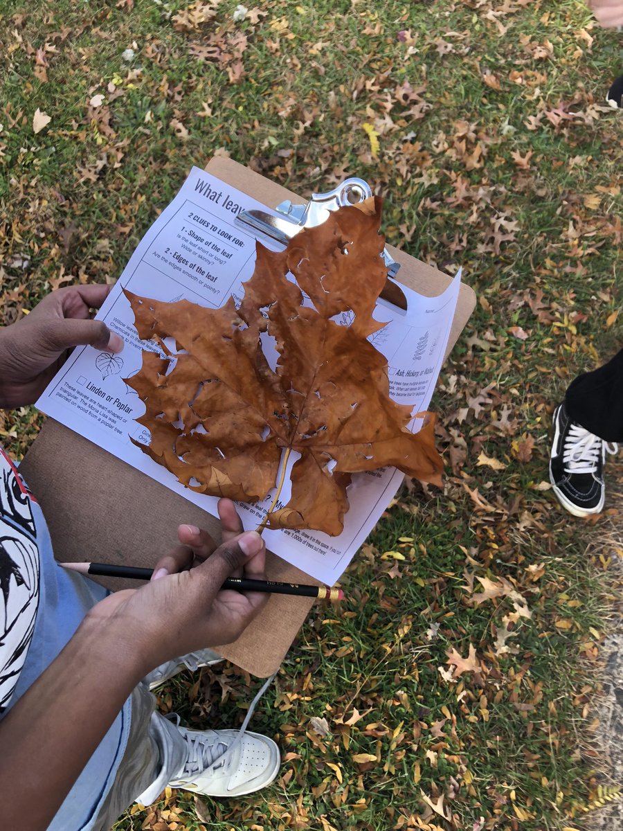 Miss_S_Thomas's tweet photo. Today we went on a hike for #NationalTakeAHikeDay and examined the leaves in our town. #9pantherpride #1wtsd @prpanthers9 @DLottmann https://t.co/zfI0STZkh4