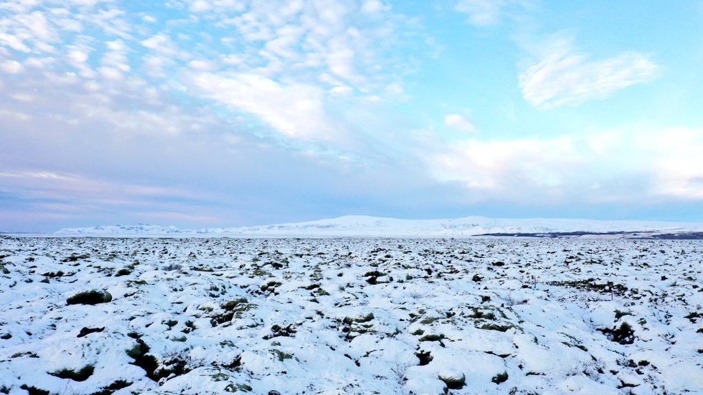 Tania Esteban🌎🎥 tweet media