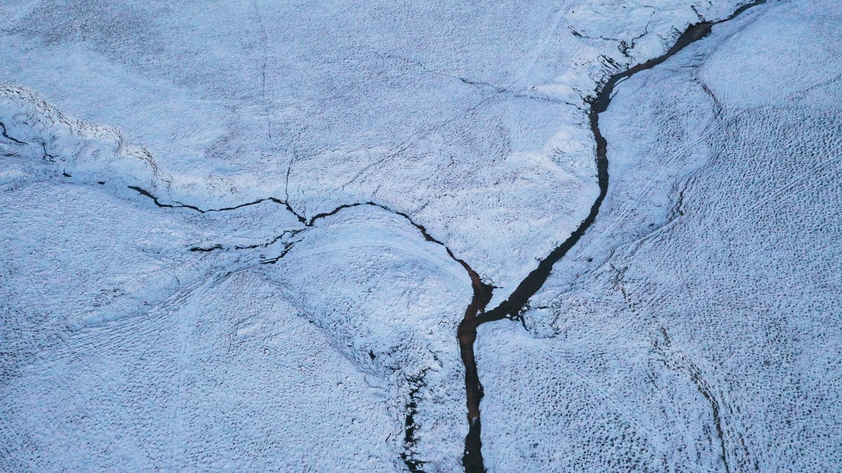 Tania Esteban🌎🎥 tweet media