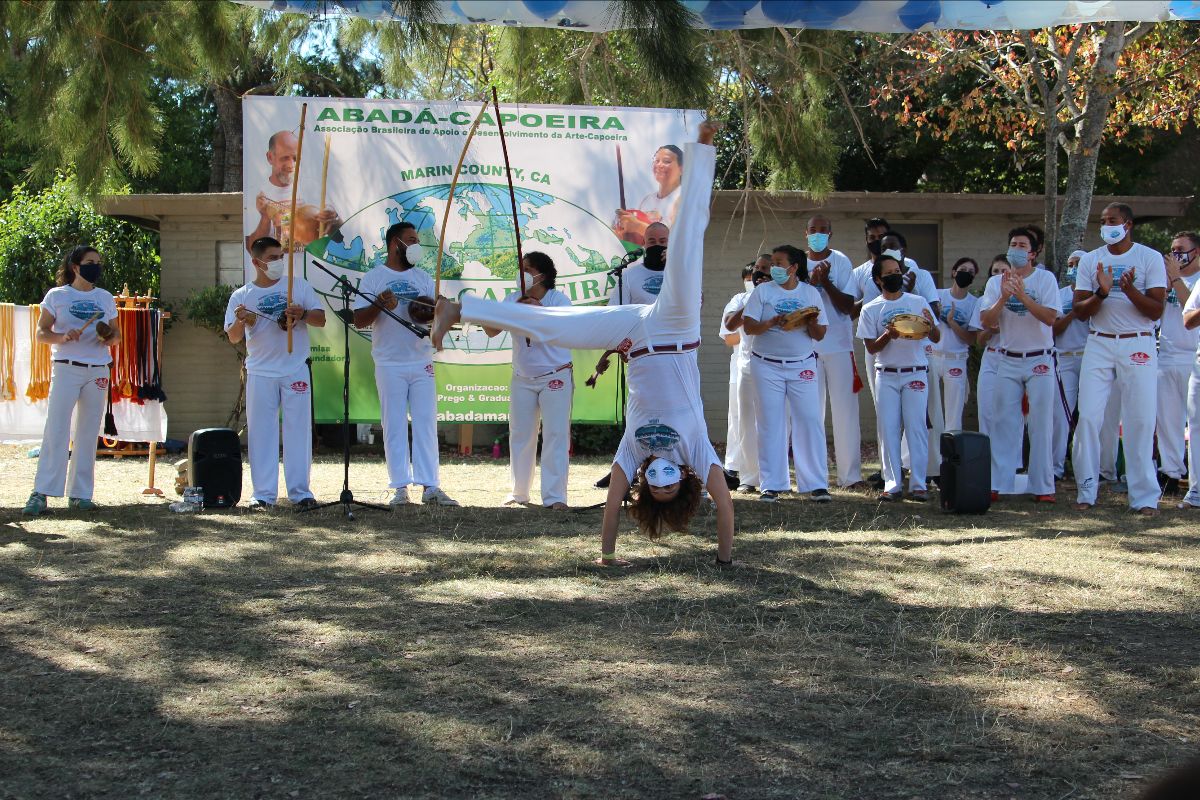 abada_marin's tweet photo. November Newsletter - https://t.co/chSfN428po https://t.co/RXaAQg6lAD
