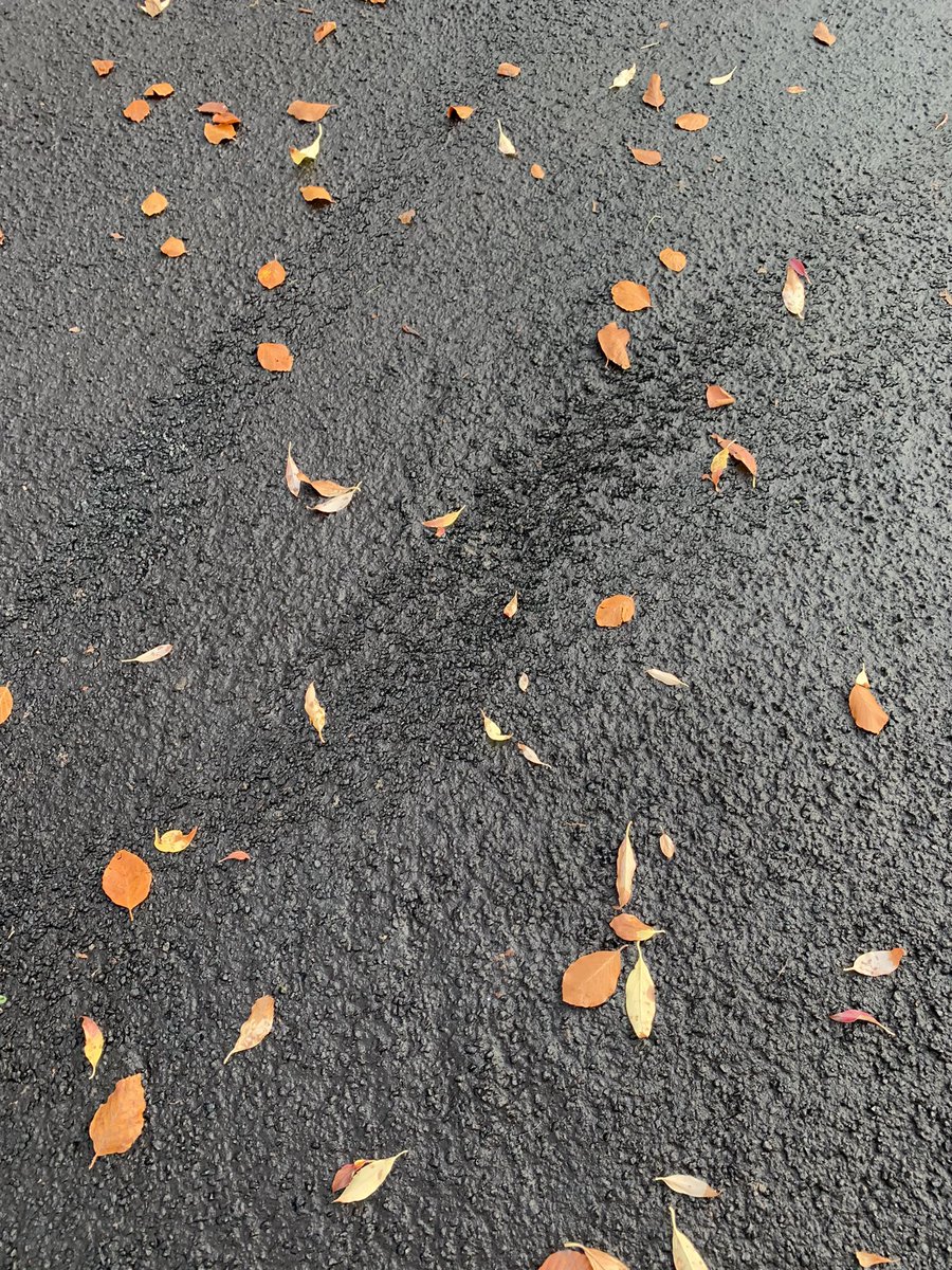 Little_Cambs's tweet photo. @alexbeckett Help! Who do we need to talk to about the resurfacing of a perfectly good pavement at the bottom of Cav Ave? They didn’t even block it off to dry properly and it’s now a complete mess! Not to mention a waste of money as it was only done a couple of years ago! https://t.co/7mHU4iLOix