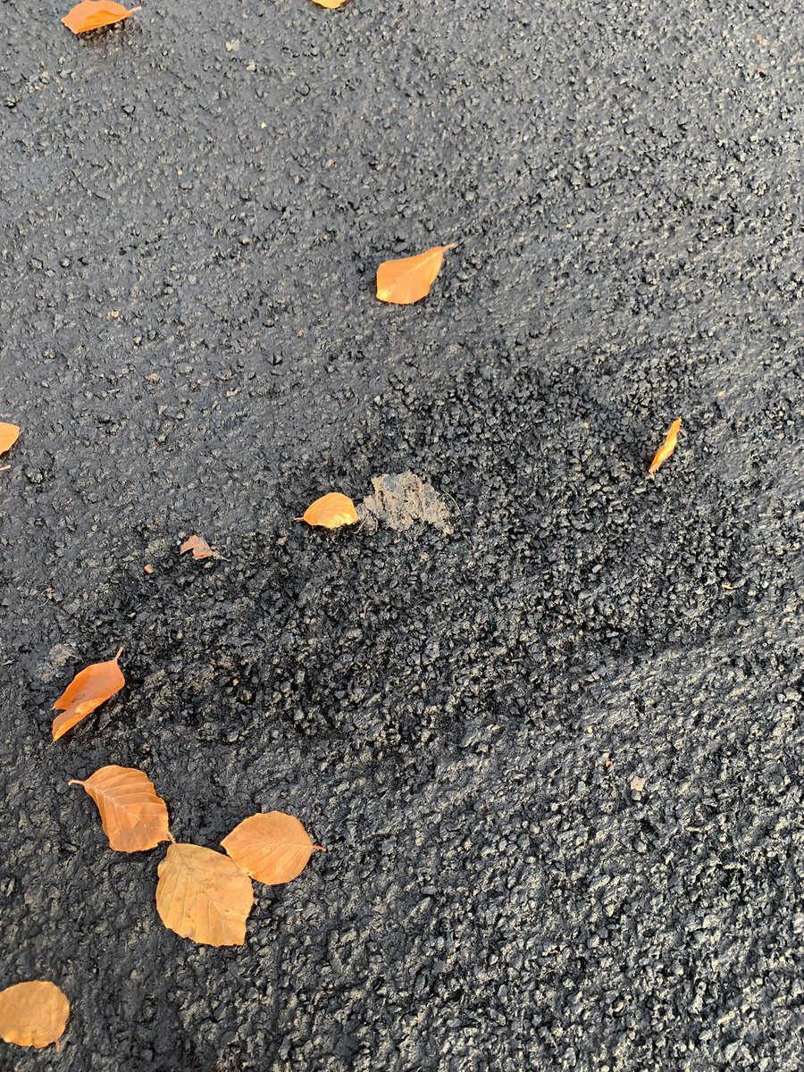 Little_Cambs's tweet photo. @alexbeckett Help! Who do we need to talk to about the resurfacing of a perfectly good pavement at the bottom of Cav Ave? They didn’t even block it off to dry properly and it’s now a complete mess! Not to mention a waste of money as it was only done a couple of years ago! https://t.co/7mHU4iLOix