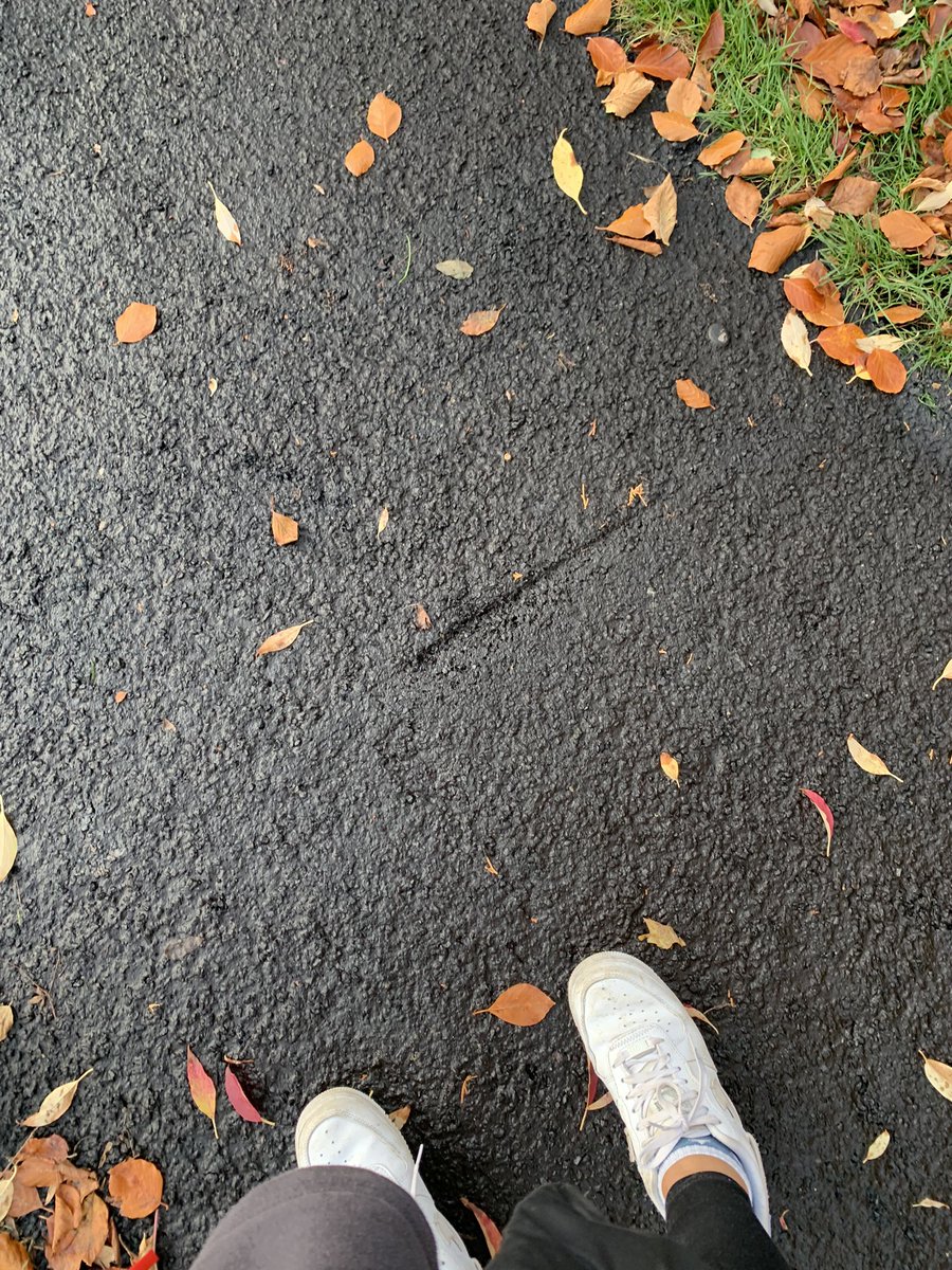 Little_Cambs's tweet photo. @alexbeckett Help! Who do we need to talk to about the resurfacing of a perfectly good pavement at the bottom of Cav Ave? They didn’t even block it off to dry properly and it’s now a complete mess! Not to mention a waste of money as it was only done a couple of years ago! https://t.co/7mHU4iLOix