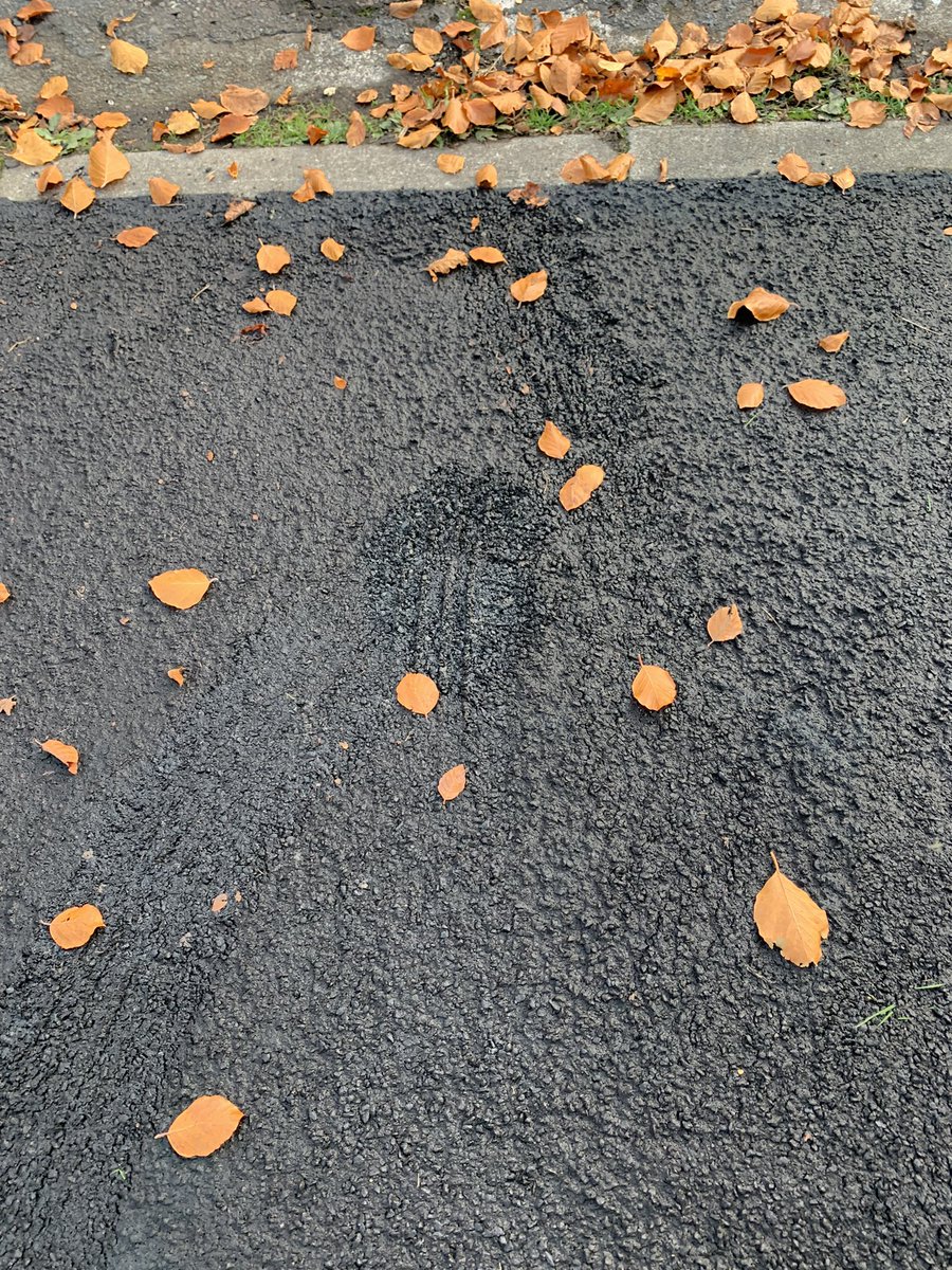 Little_Cambs's tweet photo. @alexbeckett Help! Who do we need to talk to about the resurfacing of a perfectly good pavement at the bottom of Cav Ave? They didn’t even block it off to dry properly and it’s now a complete mess! Not to mention a waste of money as it was only done a couple of years ago! https://t.co/7mHU4iLOix