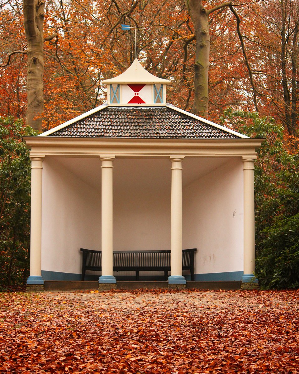 Martin_Vye's tweet photo. #oranjewoud #herfst #overtuin https://t.co/7aTH0K2o3o