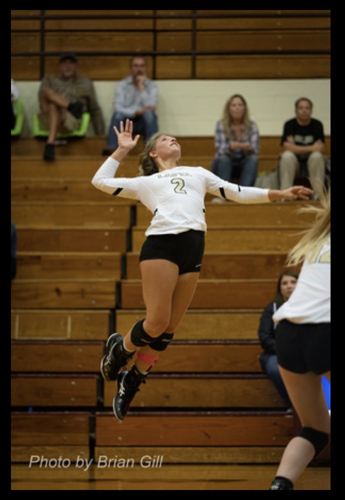 LapelVB's tweet photo. Congrats to @emmalou_3404 and @EmmaJackley on All County Honors and to @ashlynnallman1 on All County Honorable Mention!!  Proud of all of you and well deserved!  🤍💛🏐😊 https://t.co/E5RtntW9mC