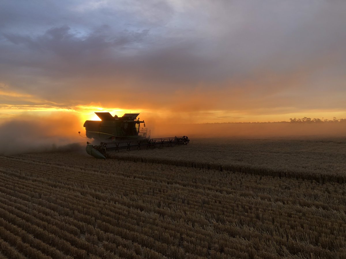 Waiting on a mate…. Good to be back home at @Nevertire helping full a big crop off!