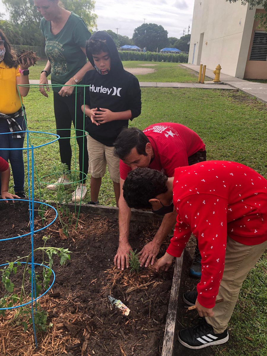 cj_finlayelem's tweet photo. The Education Fund worked together with our students today to bring back to life our vegetable and herb gardens. #EdFund #sustainabilitymatters #unstoppable https://t.co/Y26jydqwZ6