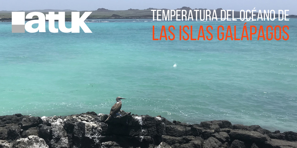 ATUK_ce's tweet photo. Hoy en nuestro #BlogATUK ¿Sabías que la ubicación de las islas Galápagos las exponen a condiciones oceanográficas y climatológicas variadas?
Clic en el siguiente enlace para leer más:
https://t.co/VSver8crmm https://t.co/DBJ4GXOTAX