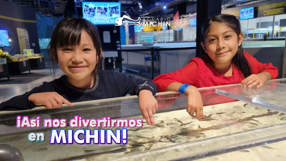 MichinPuebla's tweet photo. ¡En #AcuarioMichin la diversión nunca termina! 🤸 Además de #MichinExtremo, encontrarás distintos interactivos donde aprenderás acerca de algunas especies y el cuidado del medio ambiente de una forma muy divertida. 🐸🐍🐢🐟 ¡Te esperamos! https://t.co/7XfvcQ9zZv