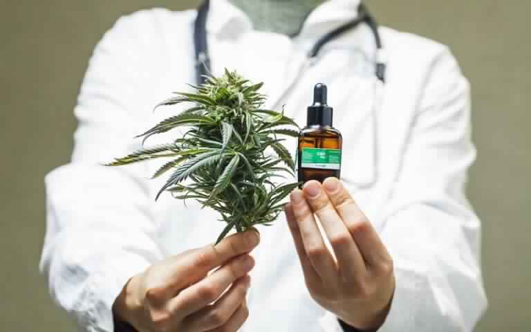 adentro_arg's tweet photo. Entre Ríos también apuesta a cultivar, producir y exportar cannabis medicinal
https://t.co/eWmb4aDphl
@bordet https://t.co/KkrDHTDTyR