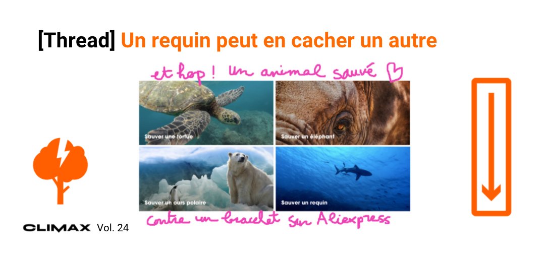 Climaxfr's tweet photo. « Achète un bracelet, sauve un animal marin ! ». 
On a souhaité en savoir plus sur ces pubs virales qui promettent un miracle environnemental. Jugez plutôt : leur simple achat financerait protection de l'écosystème marin. 
On a découvert un système pas vraiment écolo... ⤵️ https://t.co/WpIeWRLu78