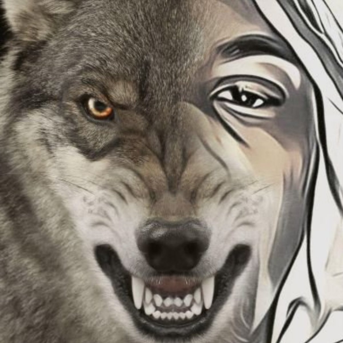 Книги ромфант вампиры. Там лютый волк песня. Волчья песнь. House of wolves. Добрый волк.