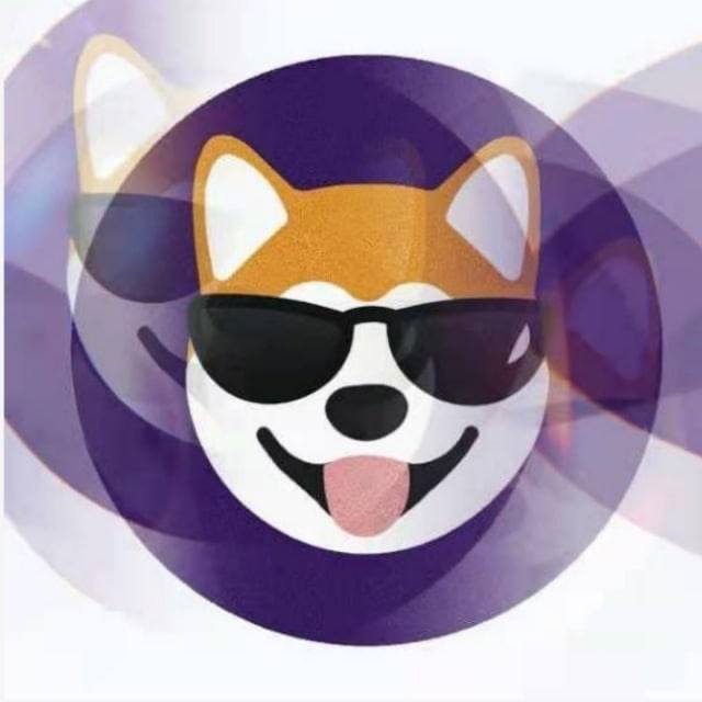 CDOG(财狗社区) tweet media