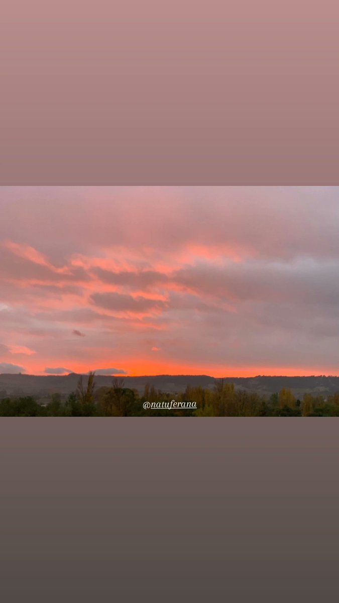 NatuFerana's tweet photo. Aunque a veces no lo ves, el sol siempre está 🌇

#natuferana #buenasnoches #atardeceresporelmundo #atardeceresmagicos #atardeceres #noches #feliznoche #miercoles #felizdia #nature #naturephotography #naturegeography #palencia #palenciamola #palenciadiferente #paseandoporpalencia https://t.co/z026QrNFYJ