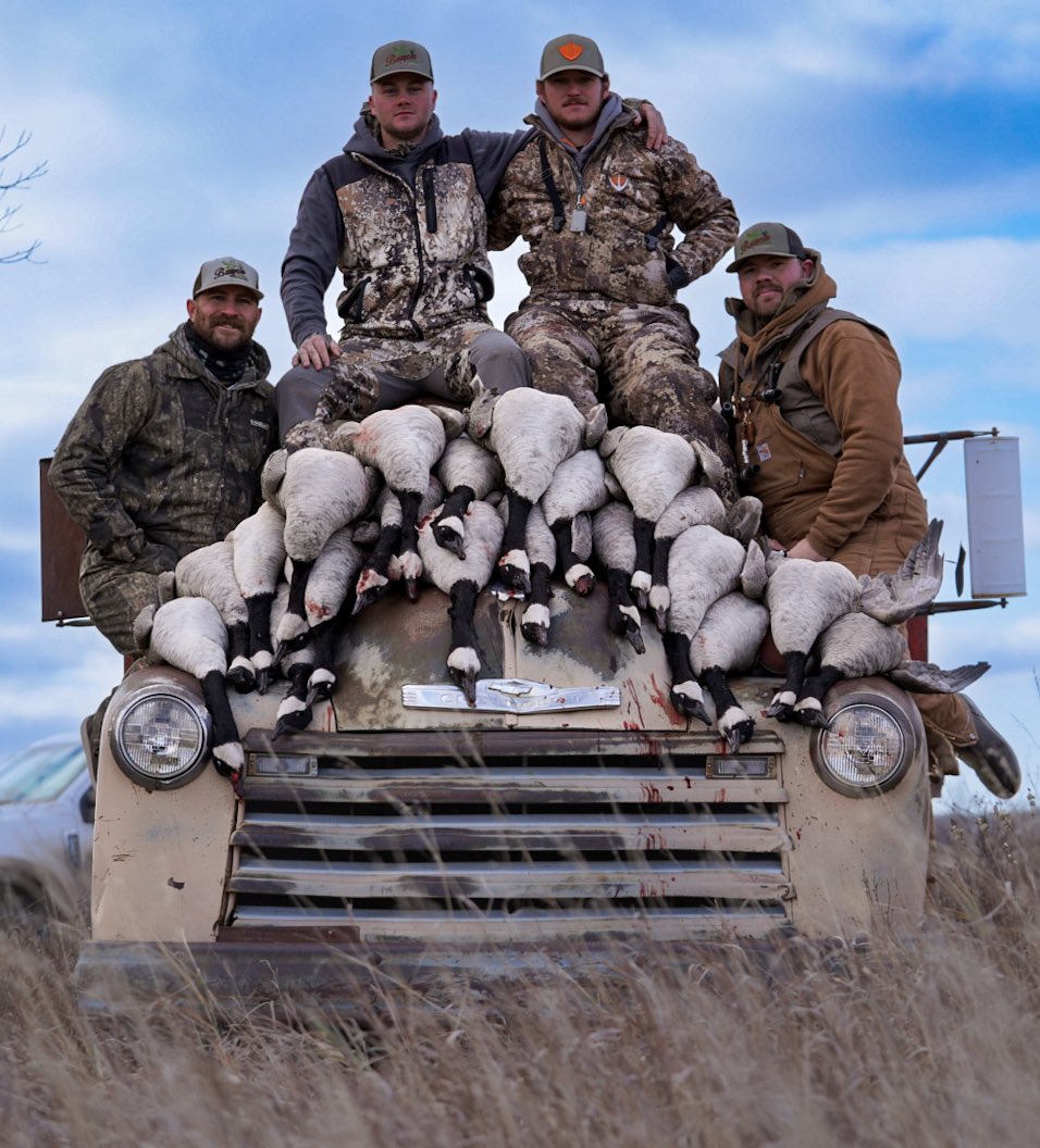 ccduckcall17's tweet photo. Montana honkers in the snow! https://t.co/aZifEdgaIh
