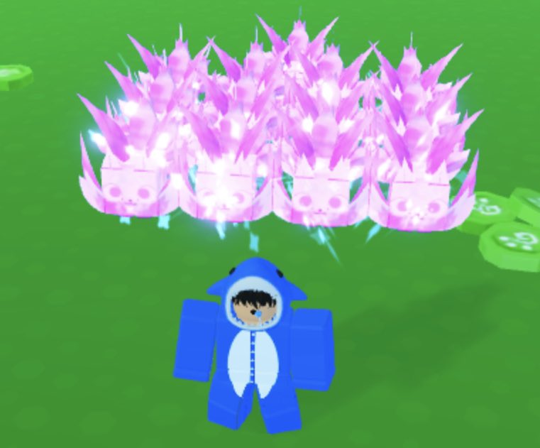 Sluwppy🦈 tweet media