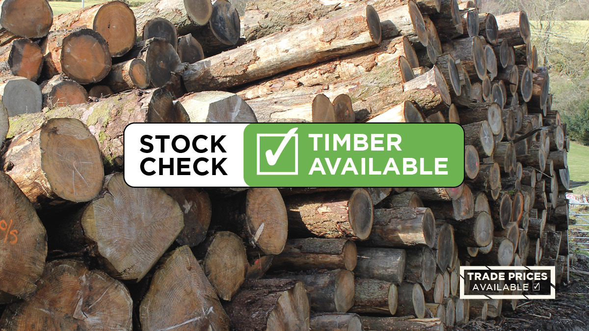 larch_co's tweet image. Timber in stock, ready to cut.
Trade prices for trade customers.
Find out more here: thelarchcladdingcompany.co.uk/timber-at-trad… 
Call our FREE HELPLINE: 07392 978020 #UKTimber #WelshTimber #FSC #NorthWales