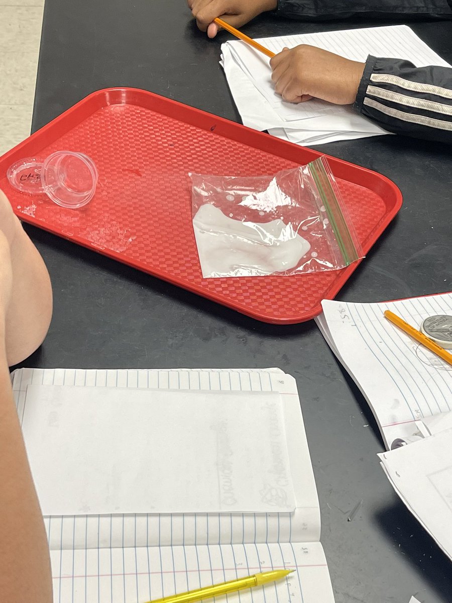 FIS 8th grade science students experimented to test the Law of Conservation of Mass #BISDpride
