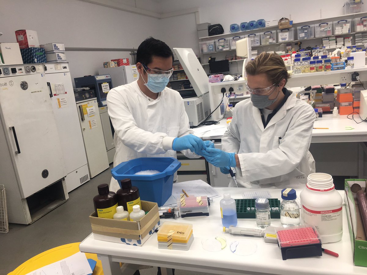 Floren Scrafton (@florenvscrafton) on Twitter photo Back at it this afternoon with my <a href="/gailmpreston/">PrestonLab</a> labmates <a href="/John_DaveCA/">John Dave Aquino</a> & <a href="/brett_wadley/">Brett Wadley</a> testing the amenability of โnewโ protein extraction buffer for different plant tissue types/treatments #TeamworkingTheDreamWork ๐ฑ#TeamworkMakesTheDreamwork ๐๐ฝ#SixHandsThreeBrainsEqualsLeanWork Back at it this afternoon with my <a href="/gailmpreston/">PrestonLab</a> labmates <a href="/John_DaveCA/">John Dave Aquino</a> & <a href="/brett_wadley/">Brett Wadley</a> testing the amenability of โnewโ protein extraction buffer for different plant tissue types/treatments #TeamworkingTheDreamWork ๐ฑ#TeamworkMakesTheDreamwork ๐๐ฝ#SixHandsThreeBrainsEqualsLeanWork