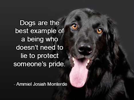 Berti_and_Ernie's tweet photo. Dogs are the best example of a being who doesn’t need to lie to protect someone’s pride.—Ammiel Josiah Monterde #quote https://t.co/sQh84Swvma