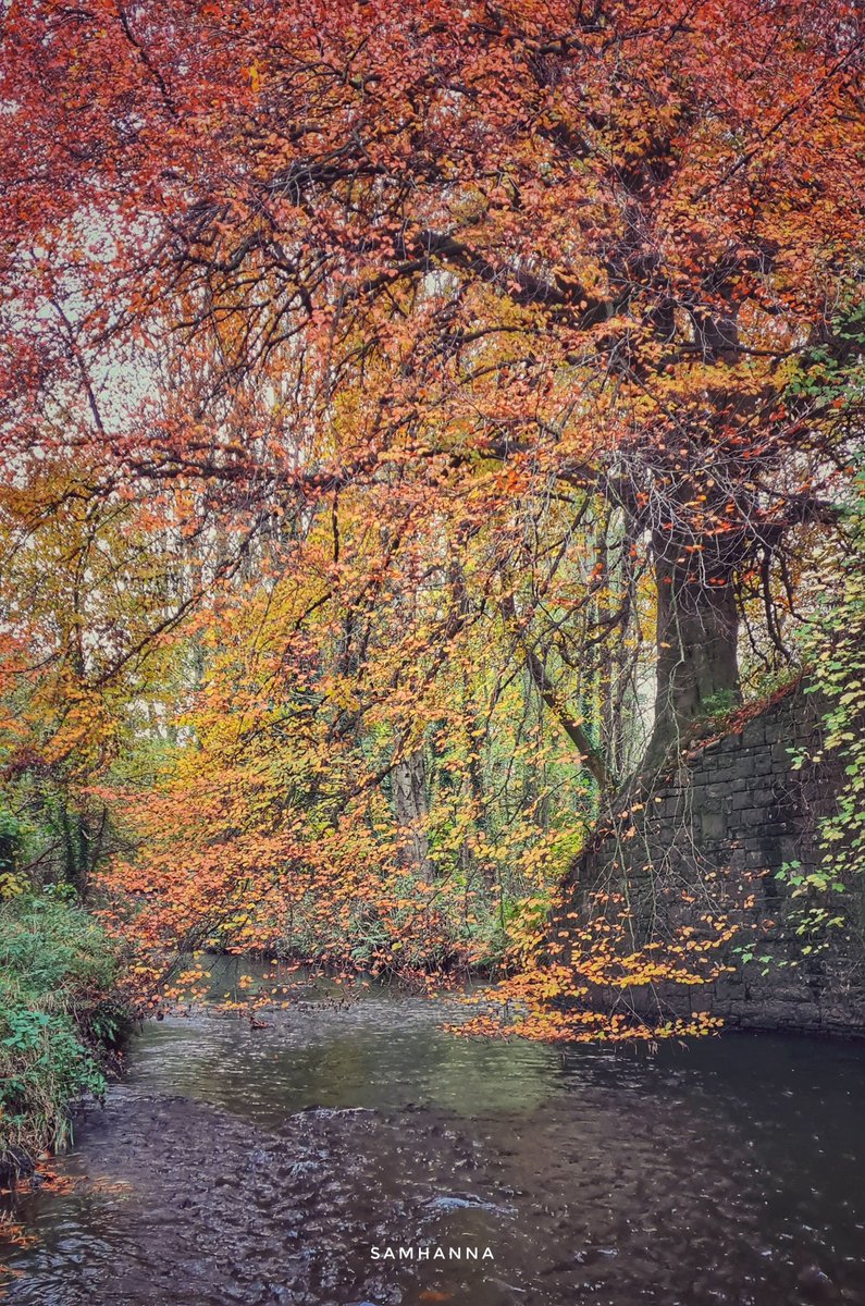 SamCelebrant's tweet photo. Riverside Park #Ballymoney this afternoon #autumn #autumnleaves @bbcniweather @WeatherCee @angie_weather @barrabest @Louise_utv @deric_tv @WeatherAisling @Love_Antrim @VisitCauseway https://t.co/OZq5M4MVsJ