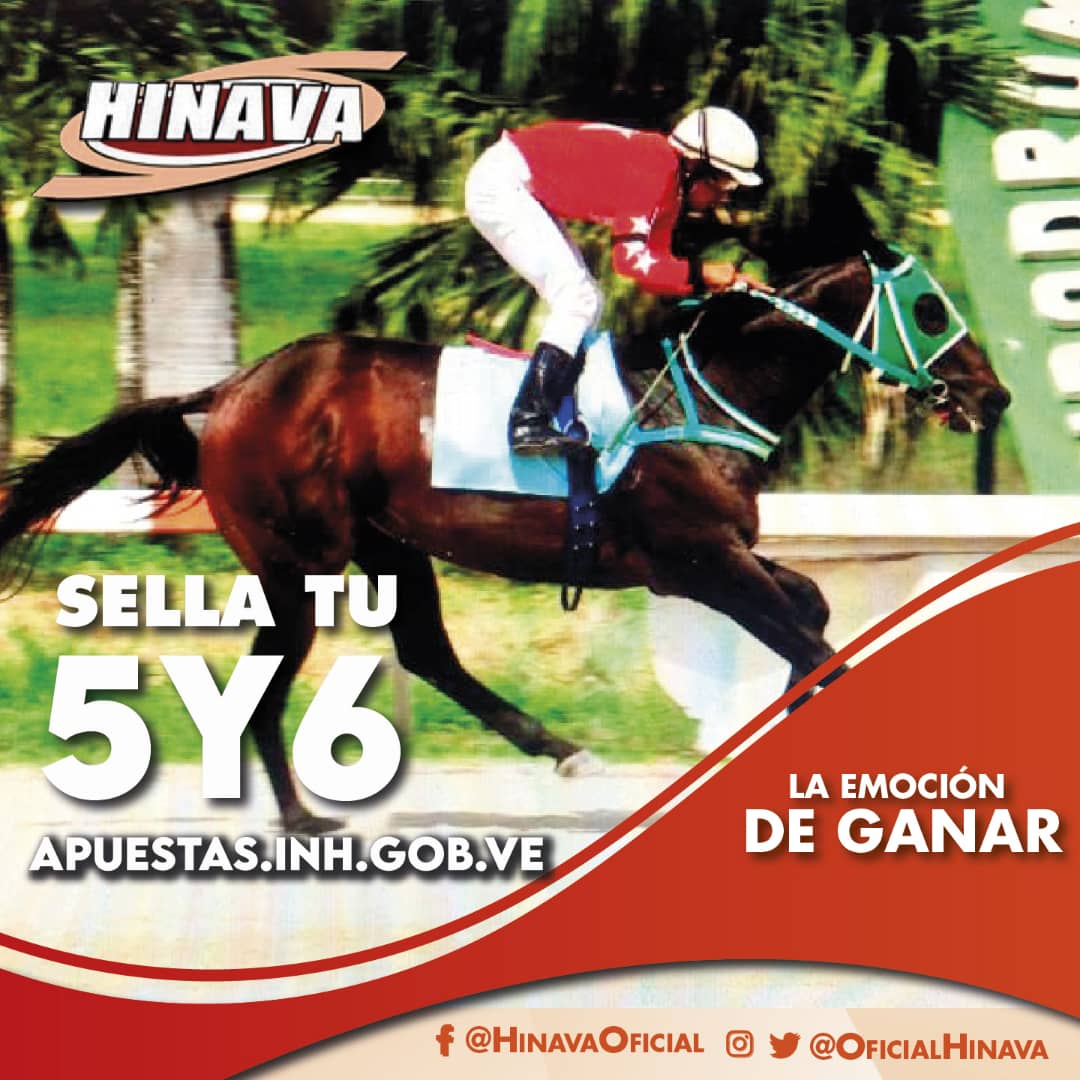 HINAVA tweet media