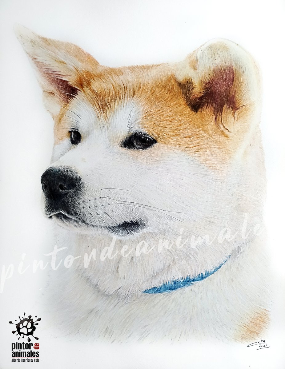 aljoroco4's tweet image. Si me dais un RT, os lo agradezco en el alma!