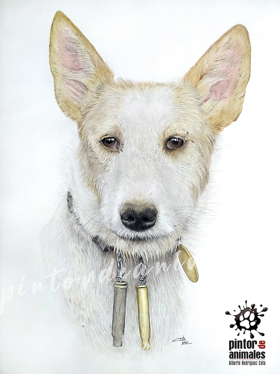 aljoroco4's tweet image. Si me dais un RT, os lo agradezco en el alma!