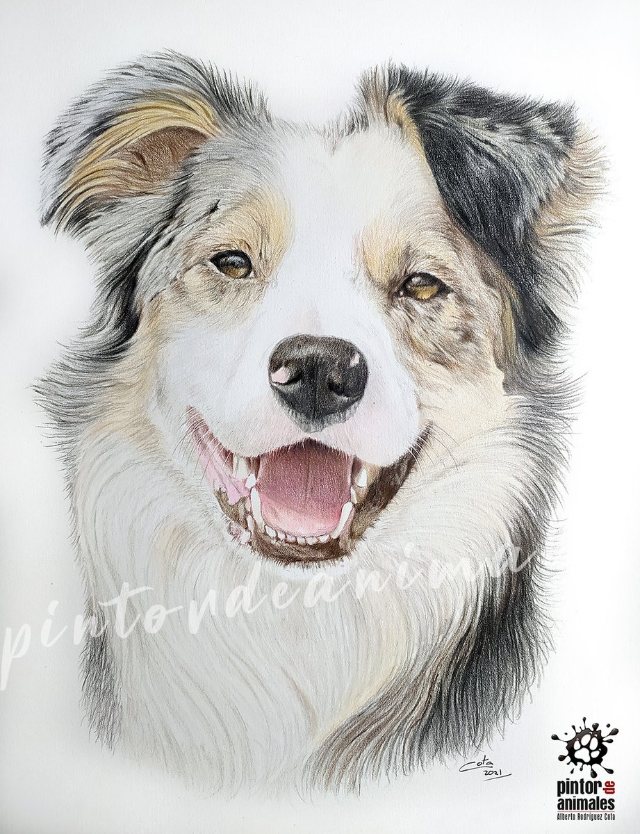 aljoroco4's tweet image. Si me dais un RT, os lo agradezco en el alma!