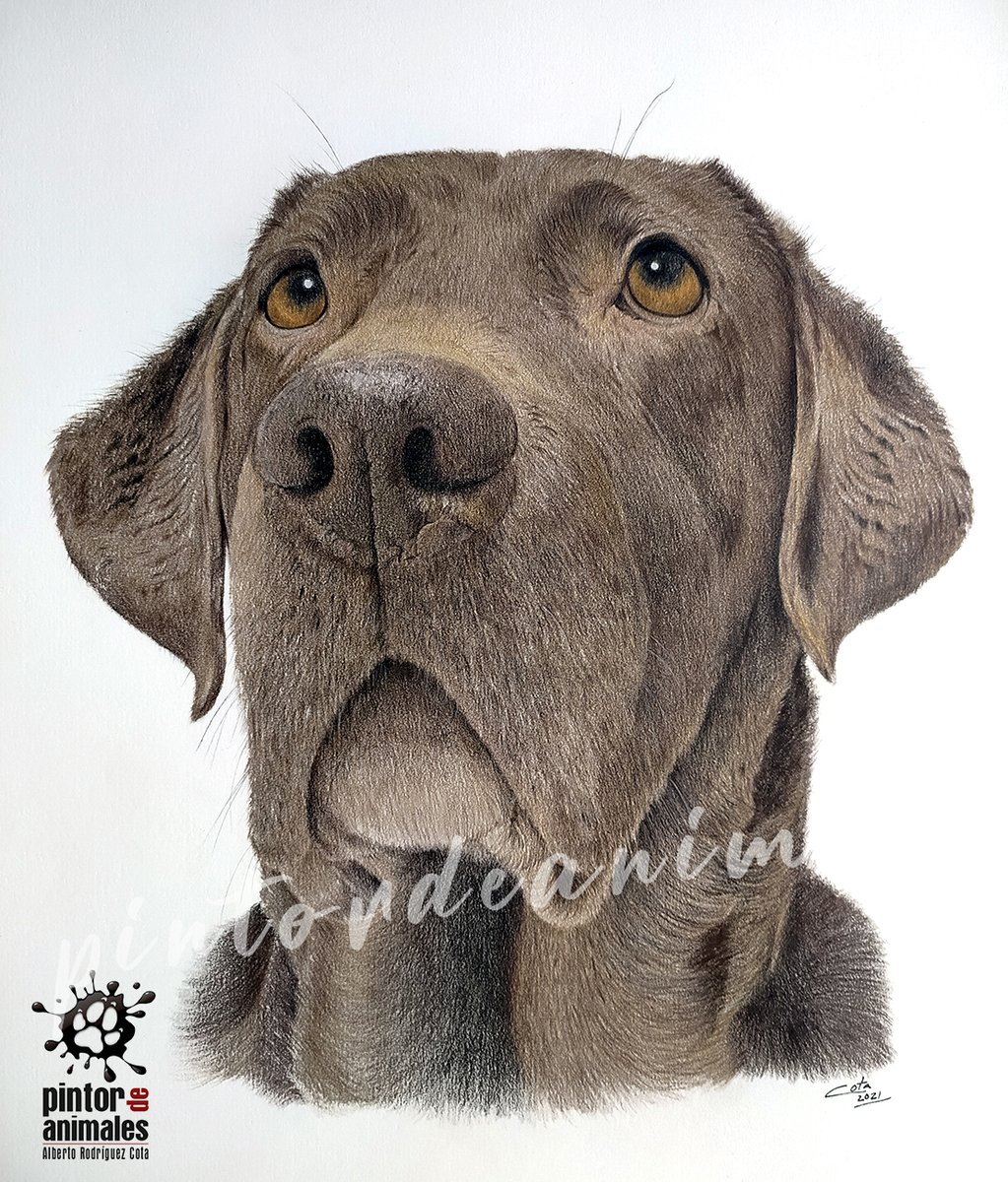 aljoroco4's tweet image. Si me dais un RT, os lo agradezco en el alma!