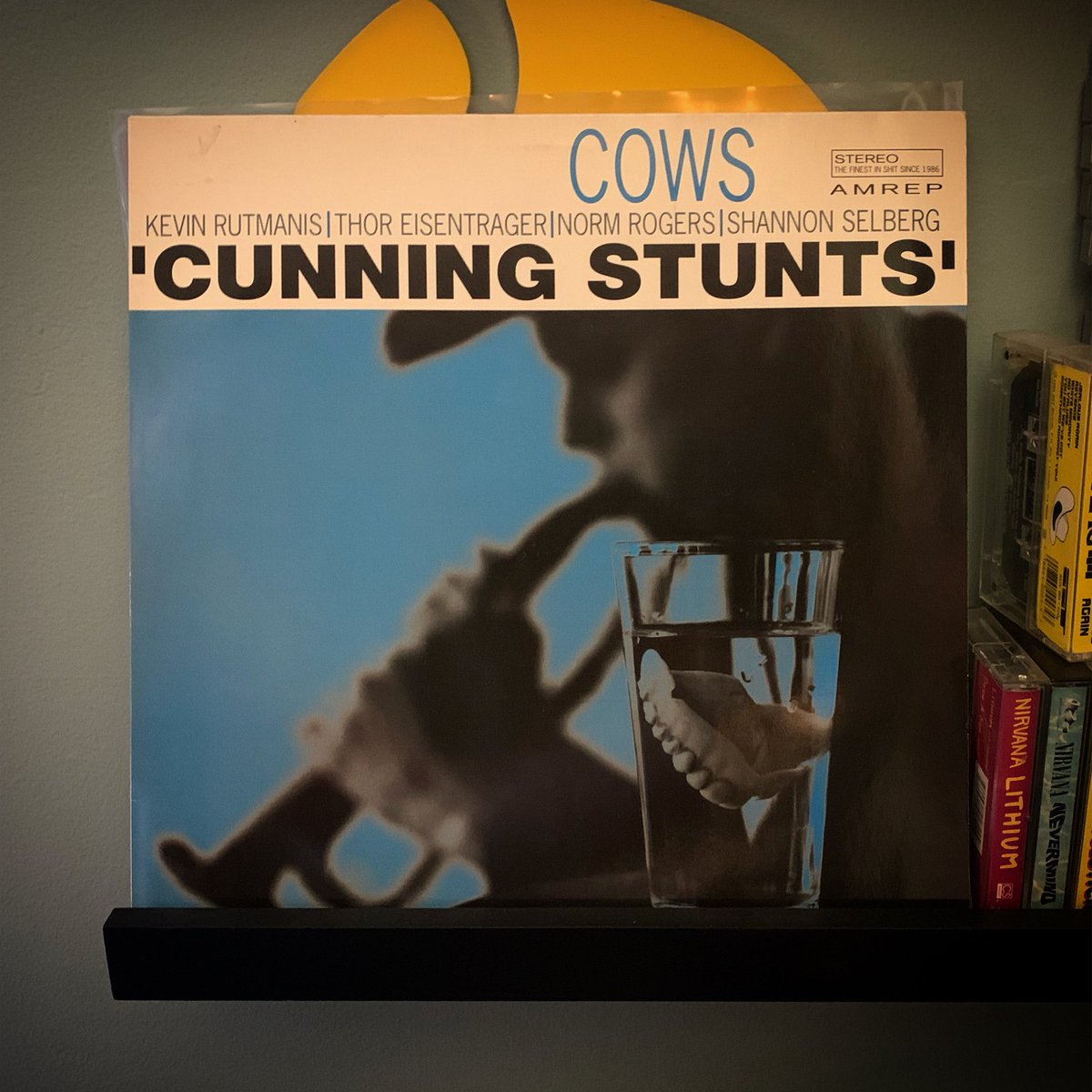 letterstapehead's tweet photo. #currentlistening: Cows — ‘Cunning Stunts’ (1992, Amphetamine Reptile)
-
#cowsband #kevinrutmanis #thoreisentrager #normrogers #shannonselberg #amphetaminreptile #amphetaminereptilerrcords #amrep https://t.co/hZ5nK5UsKW